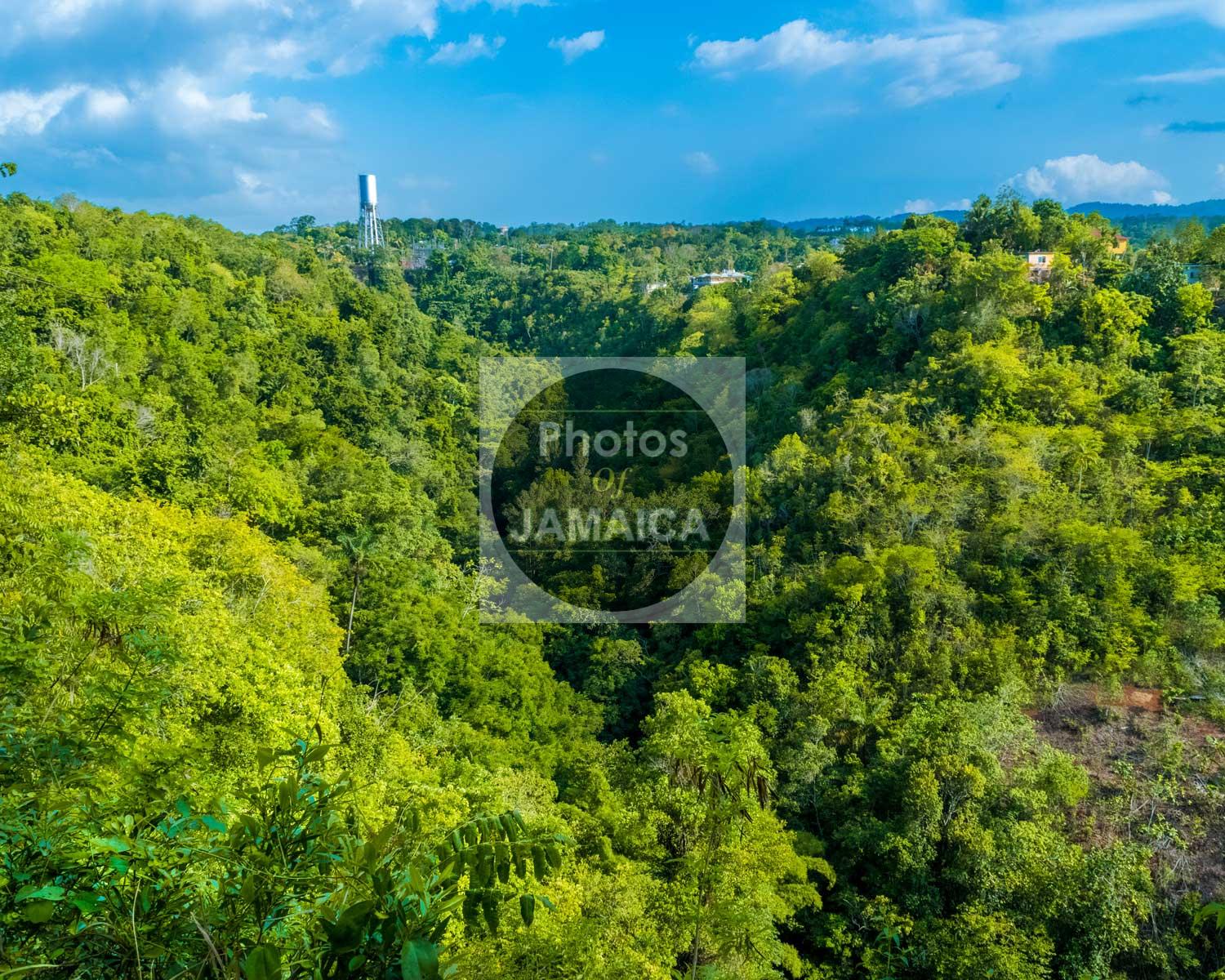 Chilling In Prospect St Mary Orientation Landscape Photos Of Jamaica chilling-in-prospect-st-mary-orientation-landscape-photos-of-jamaica