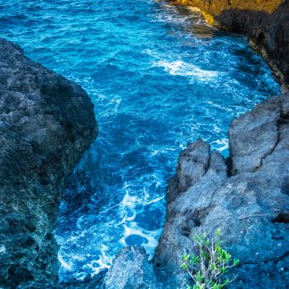 buy pictures of Jamaica stock photography prints