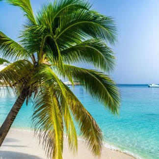 stock photos stock photography buy purchase pictures photos prints of Jamaica Caribbean